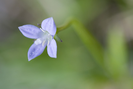 f0041023_2011538.jpg