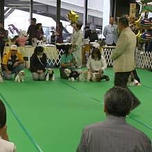 c0028424_10302366.jpg