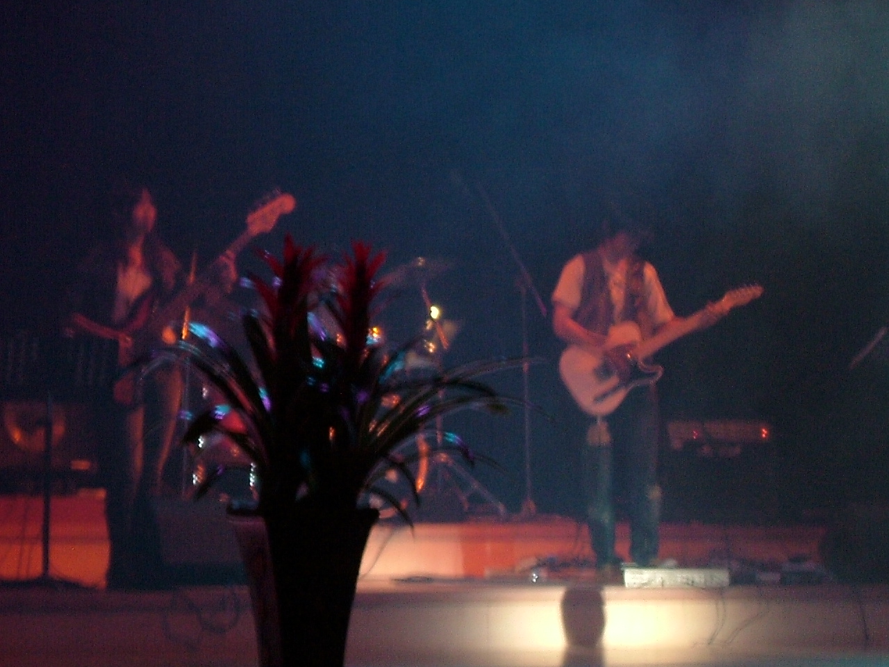 f0075527_1535635.jpg