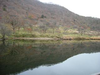 d0082628_2223346.jpg