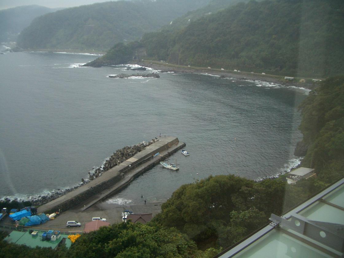 c0078032_2385541.jpg