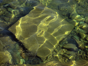 d0048332_10522066.gif
