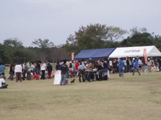 e0097536_117332.jpg