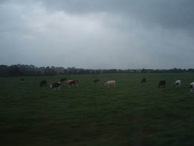 f0007638_4483325.jpg