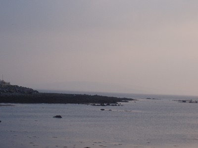 f0007638_4554752.jpg