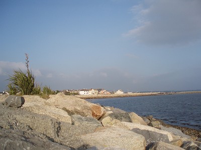 f0007638_52384.jpg