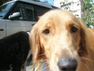f0039538_2141033.jpg