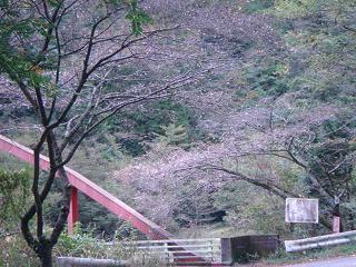 a0048040_1752564.jpg