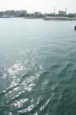 f0042548_22512912.jpg