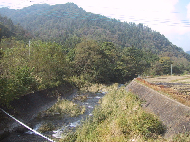 f0046250_1759218.jpg