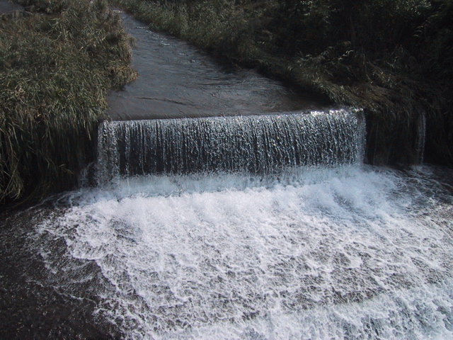f0046250_1759856.jpg
