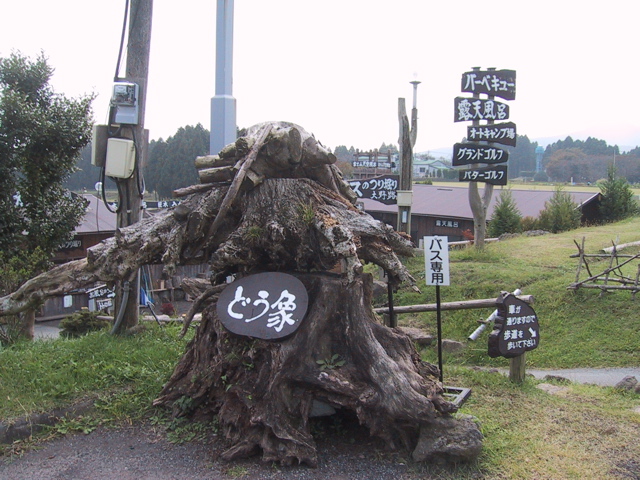 f0046250_21344458.jpg