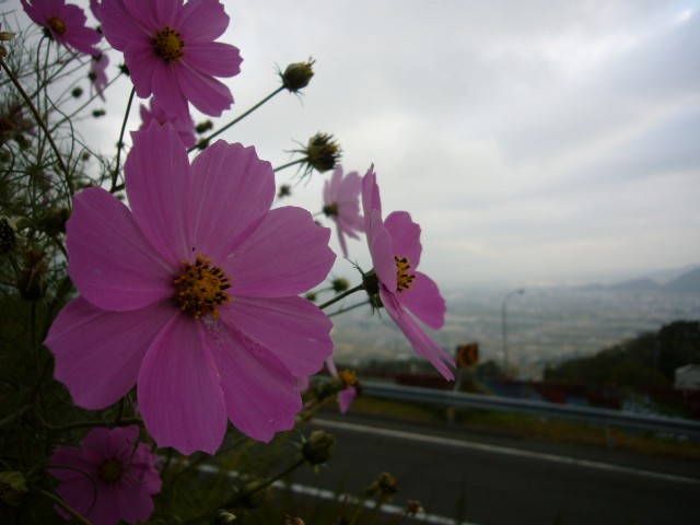 f0091250_21545214.jpg