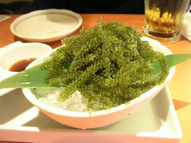 a0052156_21112452.jpg