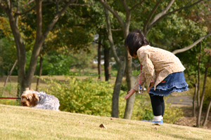 f0067361_155864.jpg