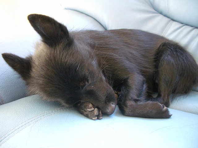 e0002466_21123656.jpg