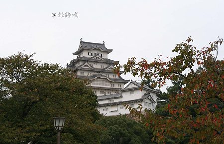 d0048067_21574712.jpg