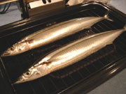 c0063182_027621.jpg