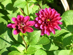 a0088896_14592433.jpg