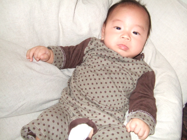 a0091096_1240441.jpg