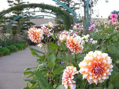 b0008999_12144510.jpg