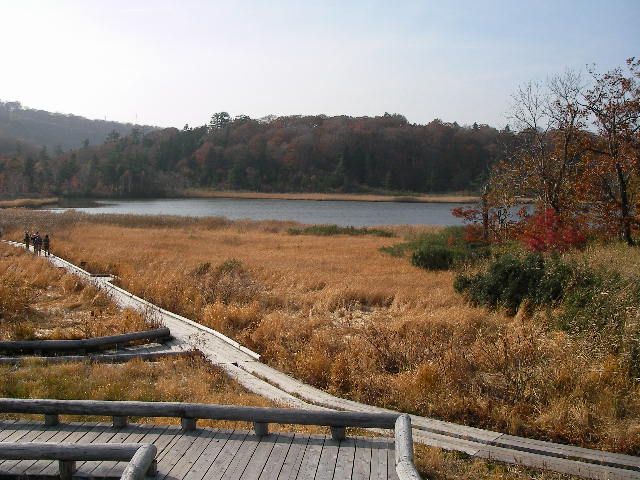 e0061902_13272070.jpg