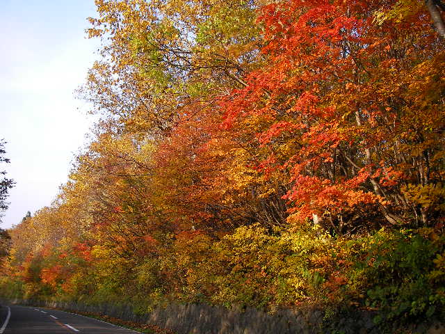 e0061902_13285322.jpg