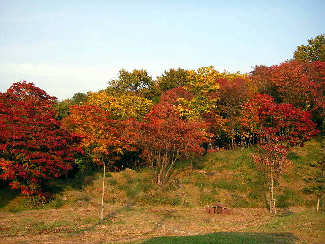 e0061902_13292995.jpg
