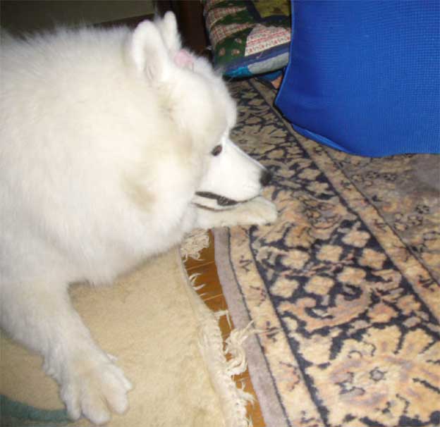 e0018604_18145185.jpg