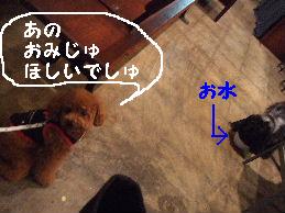 a0007906_11323293.jpg