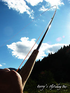 e0009009_2131346.jpg