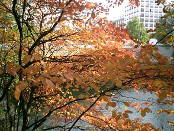 e0038811_2234989.jpg
