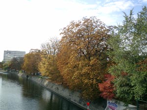 e0038811_2254117.jpg