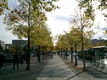 e0038811_225994.jpg