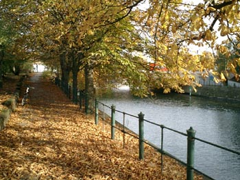 e0038811_2261216.jpg