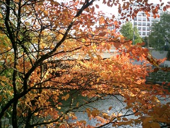 e0038811_228113.jpg