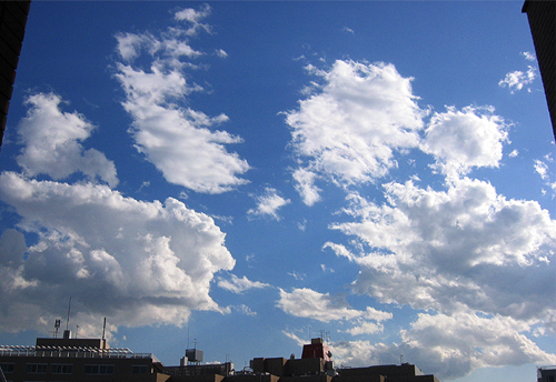 d0042618_4494198.jpg