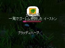 f0048418_1904654.jpg