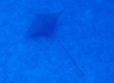 b0062119_19182274.jpg