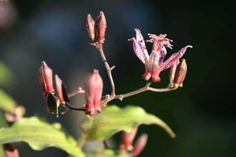 e0001123_1636968.jpg