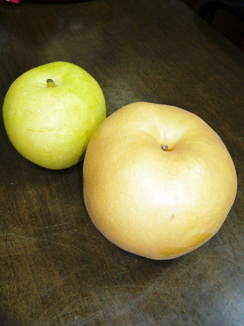 f0079723_224126.jpg
