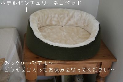 f0063729_1581386.jpg