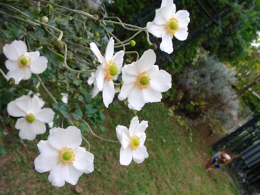 f0002833_23314437.jpg
