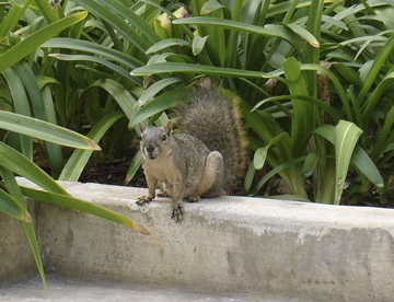 f0045433_23504521.jpg