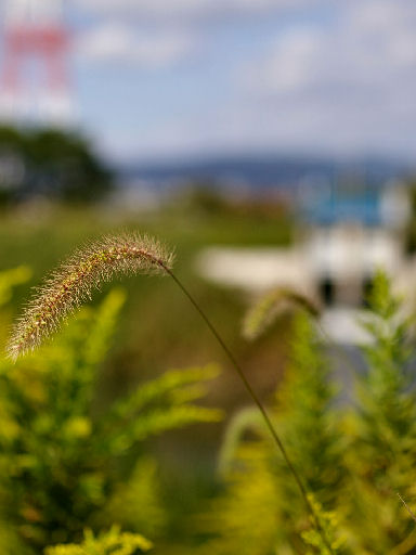 c0032138_9284363.jpg