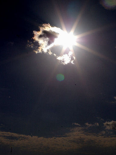 c0032138_929824.jpg