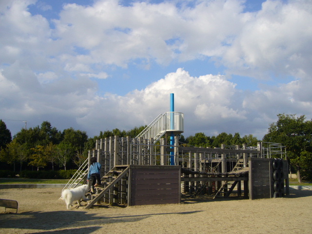 c0099841_23444059.jpg