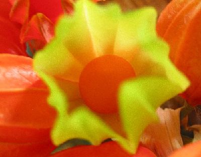 e0098241_15113379.jpg