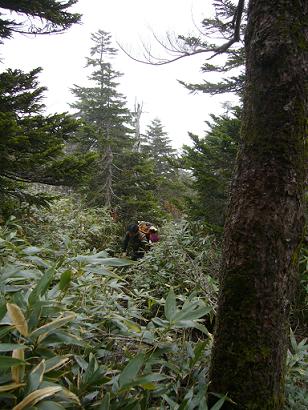 f0065941_1151544.jpg