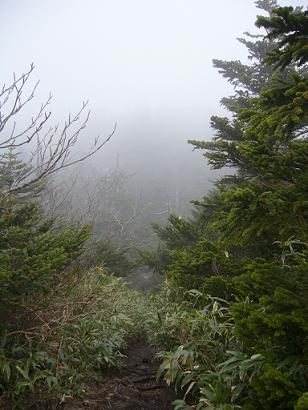 f0065941_1152173.jpg